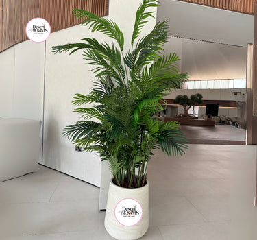 Artificial Areca Large Premium 2m