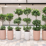 Outdoor Bundle Premium Pots Plants UAE. Row of potted plants in various pots on a tiled floor.